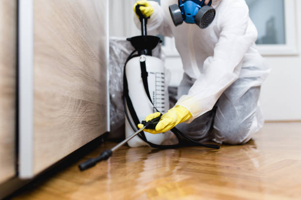 Best Termite Control Services  in Sewalls Point, FL