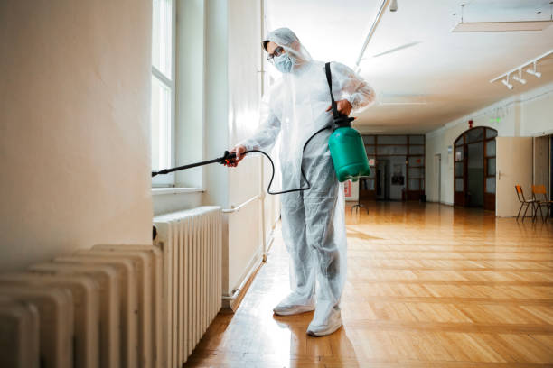 Best Best Pest Control Companies  in Sewalls Point, FL